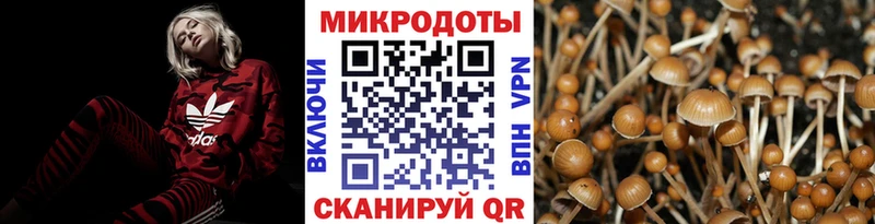 Псилоцибиновые грибы MAGIC MUSHROOMS  Купить  Новотроицк 