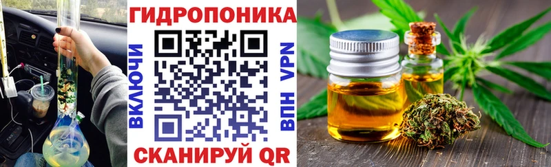 Бошки Шишки VHQ  Купить закладки  Новотроицк 